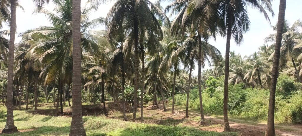 WhatsApp Image 2025-09-21 at 1.42.29 PM (1)